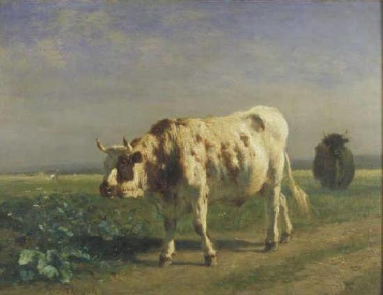 constant troyon The white bull. Germany oil painting art